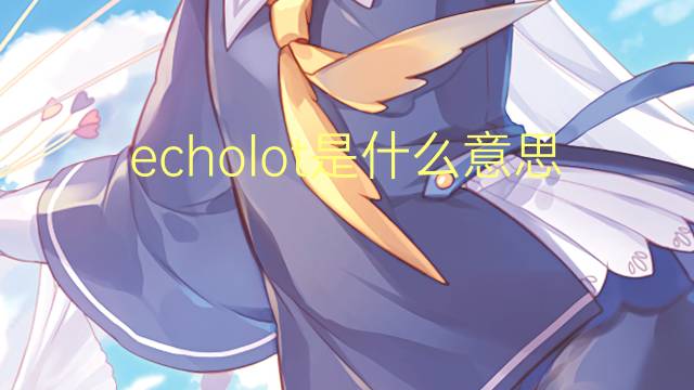 echolot是什么意思 echolot的翻译、读音、例句、中文解释