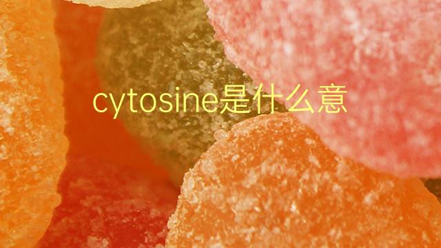 cytosine是什么意思 cytosine的翻译、读音、例句、中文解释