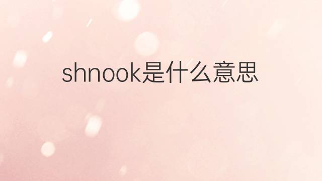 shnook是什么意思 shnook的翻译、读音、例句、中文解释