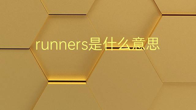 runners是什么意思 runners的翻译、读音、例句、中文解释