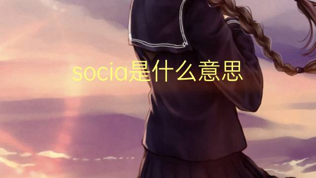 socia是什么意思 socia的翻译、读音、例句、中文解释