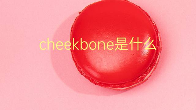 cheekbone是什么意思 cheekbone的翻译、读音、例句、中文解释