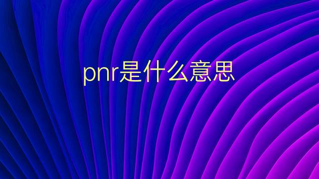 pnr是什么意思 pnr的翻译、读音、例句、中文解释