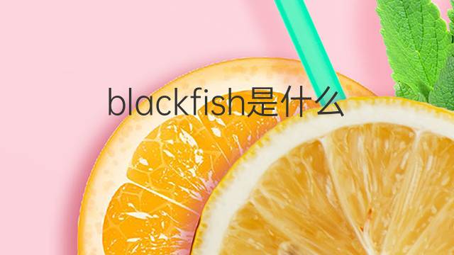 blackfish是什么意思 blackfish的翻译、读音、例句、中文解释