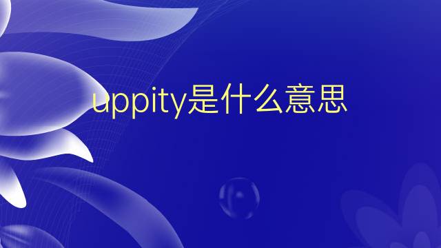 uppity是什么意思 uppity的翻译、读音、例句、中文解释