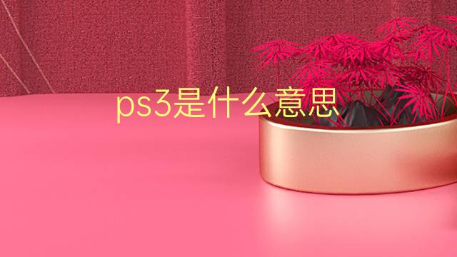 ps3是什么意思 ps3的翻译、读音、例句、中文解释