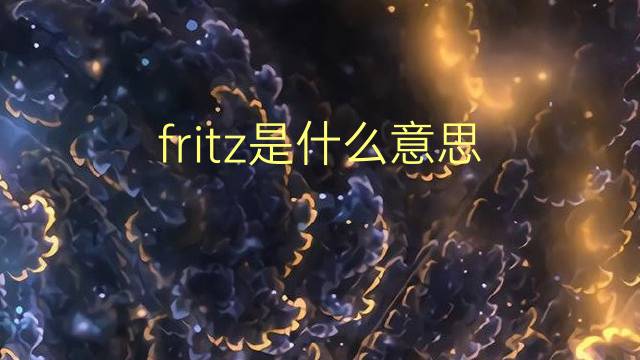 fritz是什么意思 fritz的翻译、读音、例句、中文解释