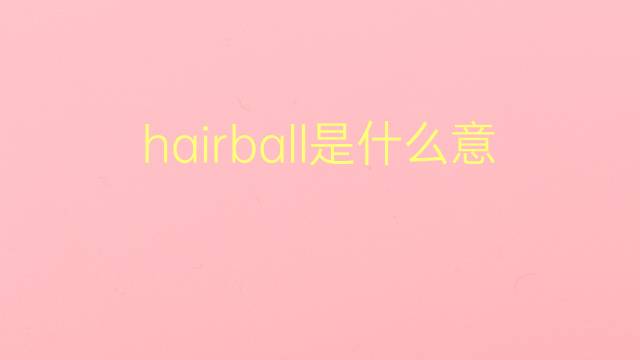 hairball是什么意思 hairball的翻译、读音、例句、中文解释