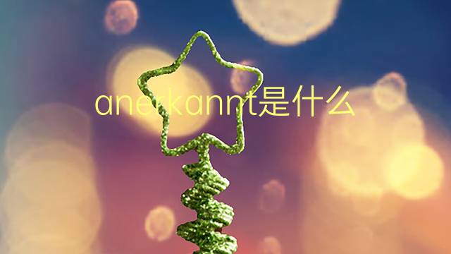 anerkannt是什么意思 anerkannt的翻译、读音、例句、中文解释