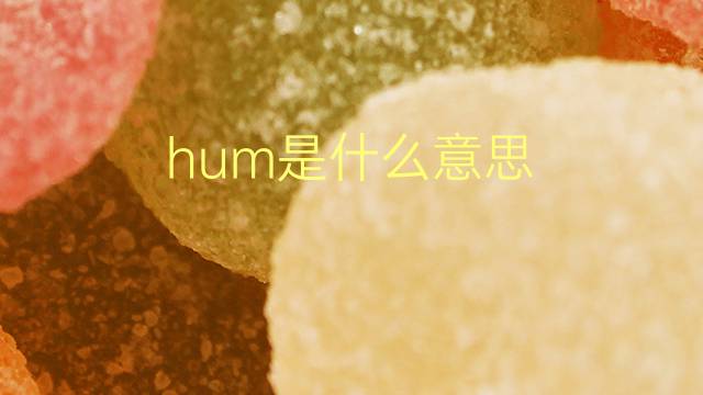 hum是什么意思 hum的翻译、读音、例句、中文解释