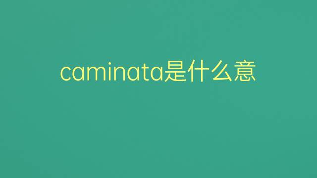 caminata是什么意思 caminata的翻译、读音、例句、中文解释