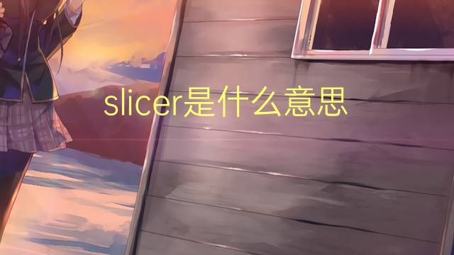 slicer是什么意思 slicer的翻译、读音、例句、中文解释