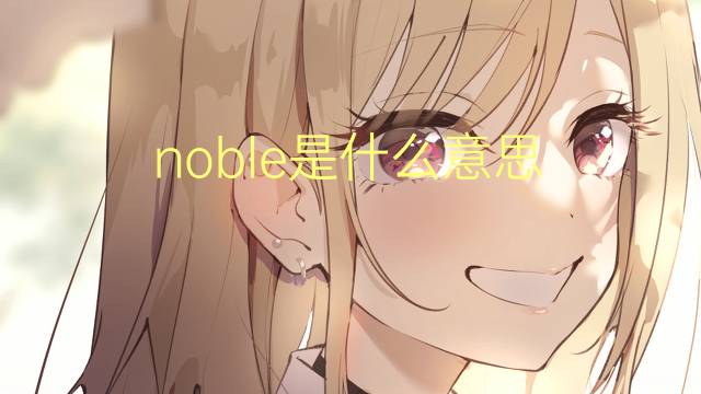 noble是什么意思 noble的翻译、读音、例句、中文解释