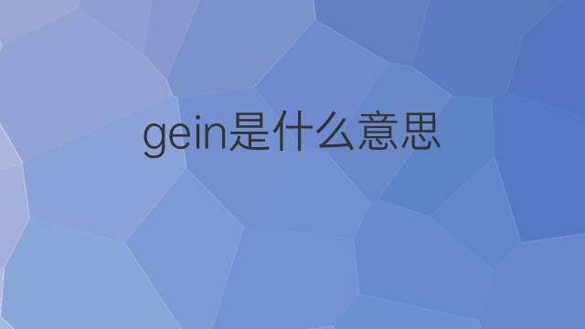 gein是什么意思 gein的翻译、读音、例句、中文解释