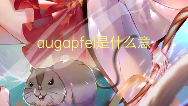 augapfel是什么意思 augapfel的翻译、读音、例句、中文解释