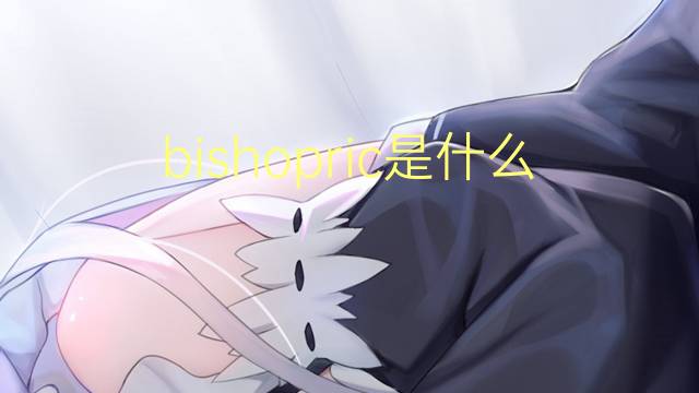 bishopric是什么意思 bishopric的翻译、读音、例句、中文解释