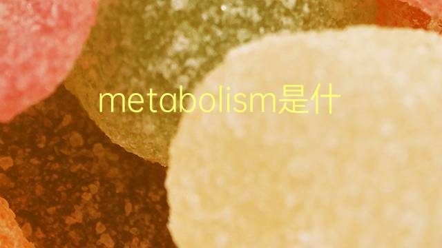 metabolism是什么意思 metabolism的翻译、读音、例句、中文解释