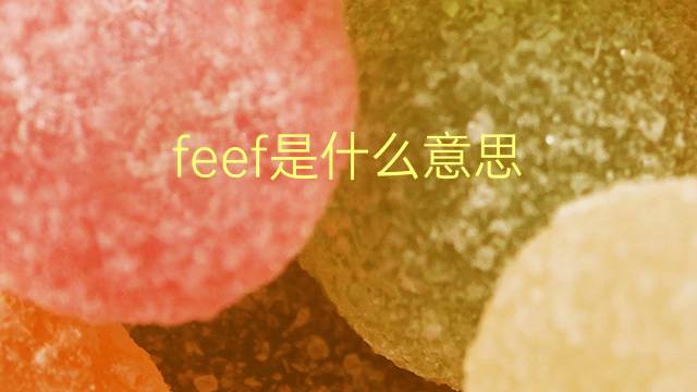 feef是什么意思 feef的翻译、读音、例句、中文解释