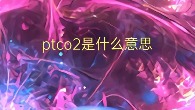 ptco2是什么意思 ptco2的翻译、读音、例句、中文解释