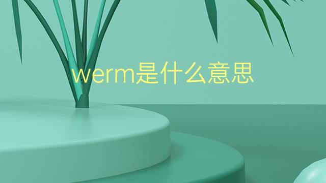 werm是什么意思 werm的翻译、读音、例句、中文解释