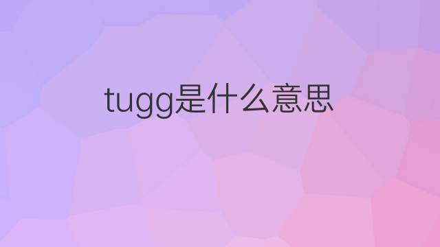 tugg是什么意思 tugg的翻译、读音、例句、中文解释