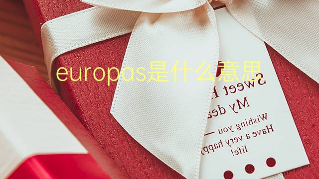 europas是什么意思 europas的翻译、读音、例句、中文解释