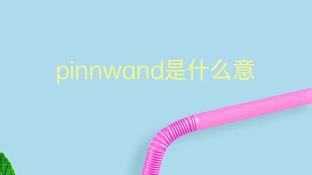 pinnwand是什么意思 pinnwand的翻译、读音、例句、中文解释