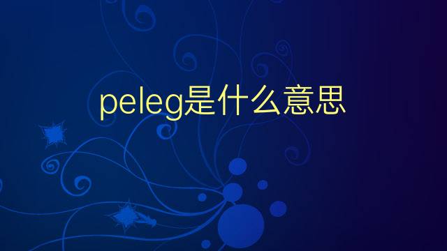 peleg是什么意思 英文名peleg的翻译、发音、来源