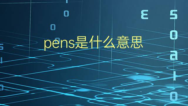 pens是什么意思 pens的翻译、读音、例句、中文解释