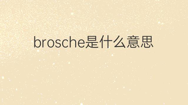 brosche是什么意思 brosche的翻译、读音、例句、中文解释