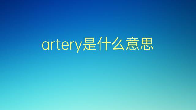 artery是什么意思 artery的翻译、读音、例句、中文解释