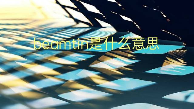 beamtin是什么意思 beamtin的翻译、读音、例句、中文解释