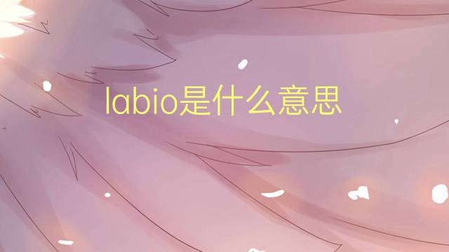 labio是什么意思 labio的翻译、读音、例句、中文解释