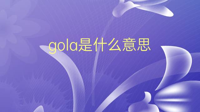 gola是什么意思 gola的翻译、读音、例句、中文解释