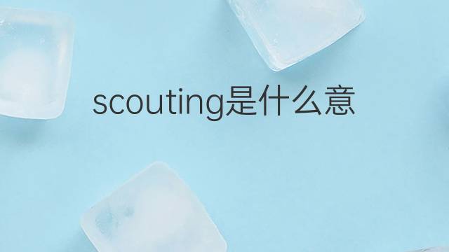 scouting是什么意思 scouting的翻译、读音、例句、中文解释