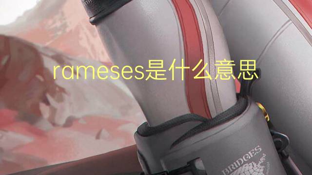 rameses是什么意思 rameses的翻译、读音、例句、中文解释