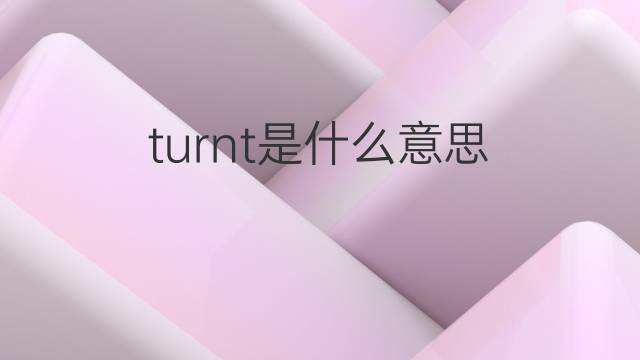 turnt是什么意思 turnt的翻译、读音、例句、中文解释