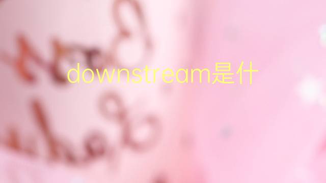 downstream是什么意思 downstream的翻译、读音、例句、中文解释