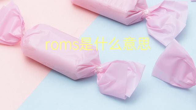 roms是什么意思 roms的翻译、读音、例句、中文解释