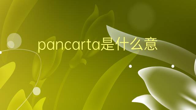 pancarta是什么意思 pancarta的翻译、读音、例句、中文解释