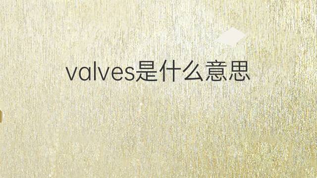 valves是什么意思 valves的翻译、读音、例句、中文解释