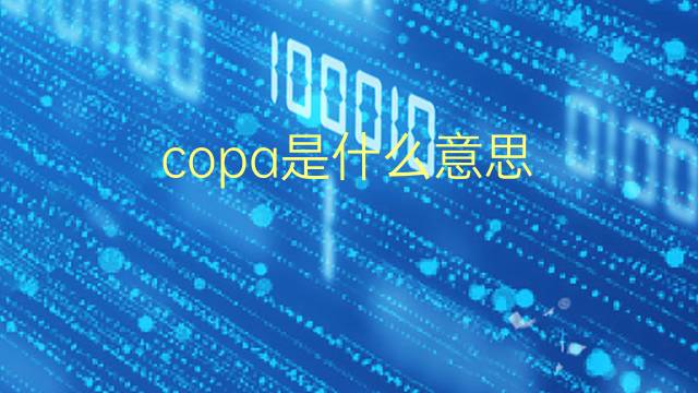 copa是什么意思 copa的翻译、读音、例句、中文解释