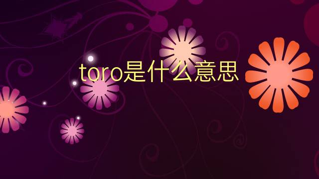 toro是什么意思 toro的翻译、读音、例句、中文解释