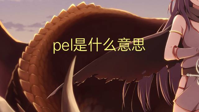 pel是什么意思 pel的翻译、读音、例句、中文解释