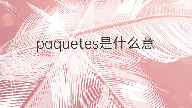 paquetes是什么意思 paquetes的翻译、读音、例句、中文解释