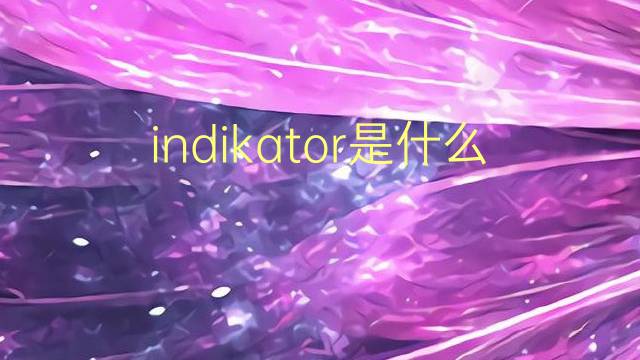 indikator是什么意思 indikator的翻译、读音、例句、中文解释