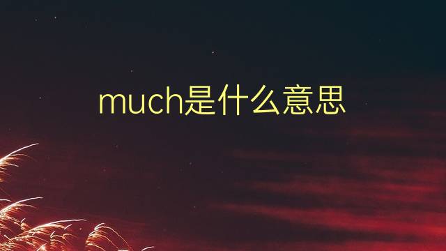 much是什么意思 much的翻译、读音、例句、中文解释