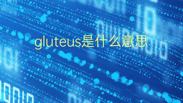 gluteus是什么意思 gluteus的翻译、读音、例句、中文解释