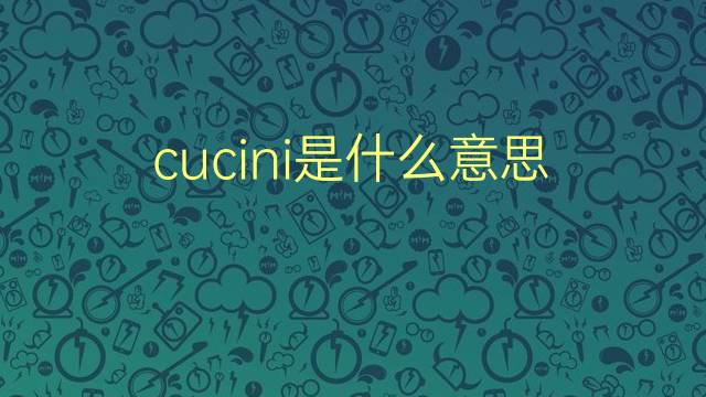 cucini是什么意思 cucini的翻译、读音、例句、中文解释