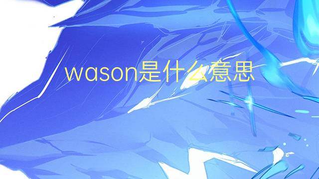 wason是什么意思 wason的翻译、读音、例句、中文解释